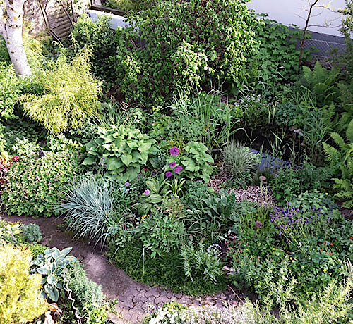 Wieder naturnahe Gartenberatungen für interessierte Bürgerinnen und Bürger